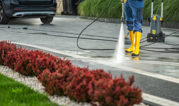 Best Roof Pressure Washing  in Woodridge, IL